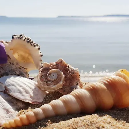 Morning Star Deluxe Διαμέρισμα *