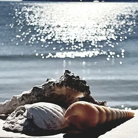 Morning Star Deluxe Apartmán *